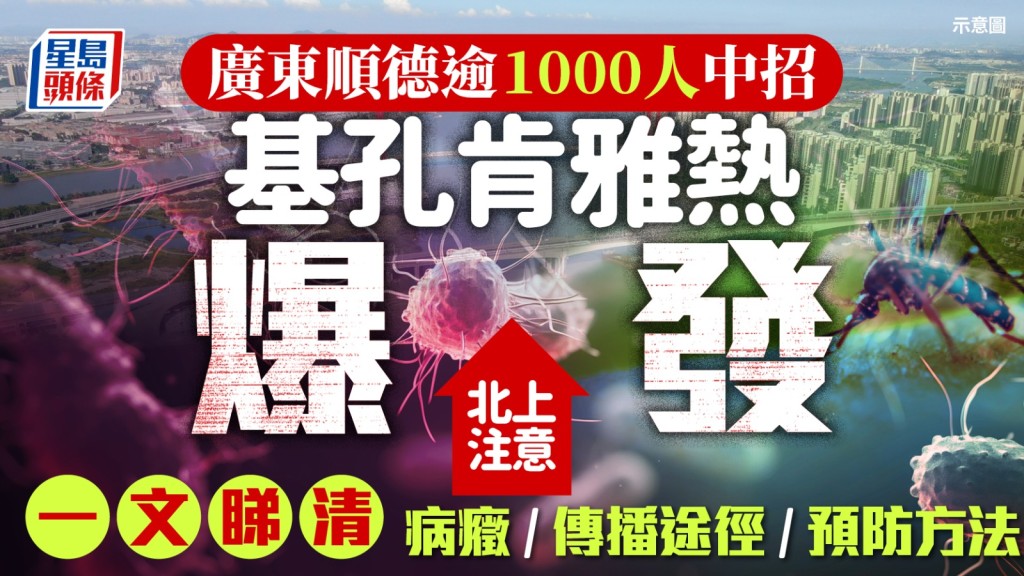 順德爆發「基孔肯雅熱」，已逾1100人中招，其病徵與登革熱相似。資料圖片