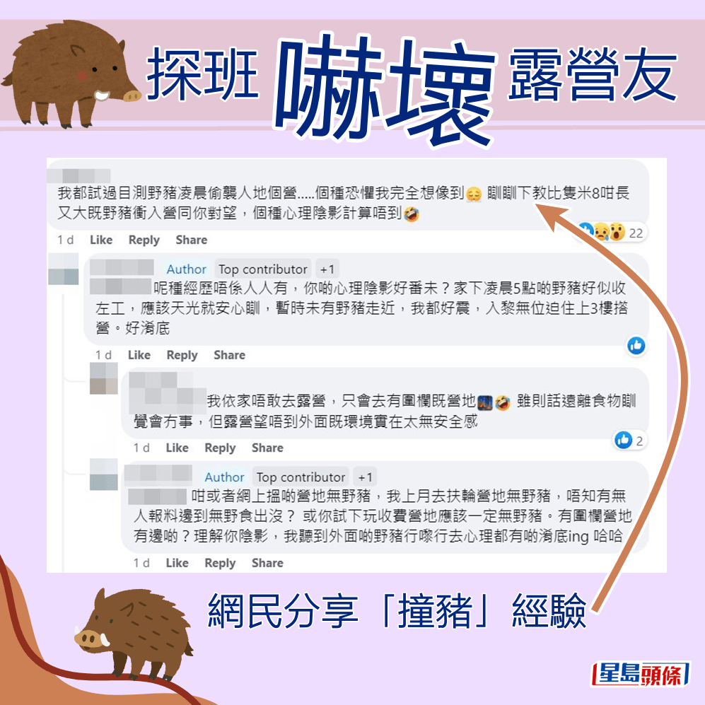 網民分享「撞豬」經驗。fb「香港人露營分享谷」截圖