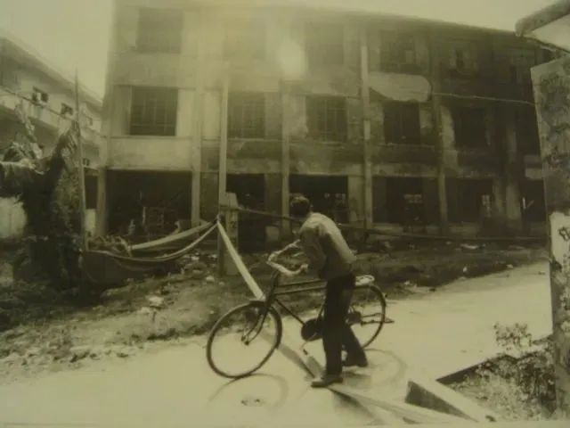 致丽大火扑灭之后，拍摄于1993年11月20日。