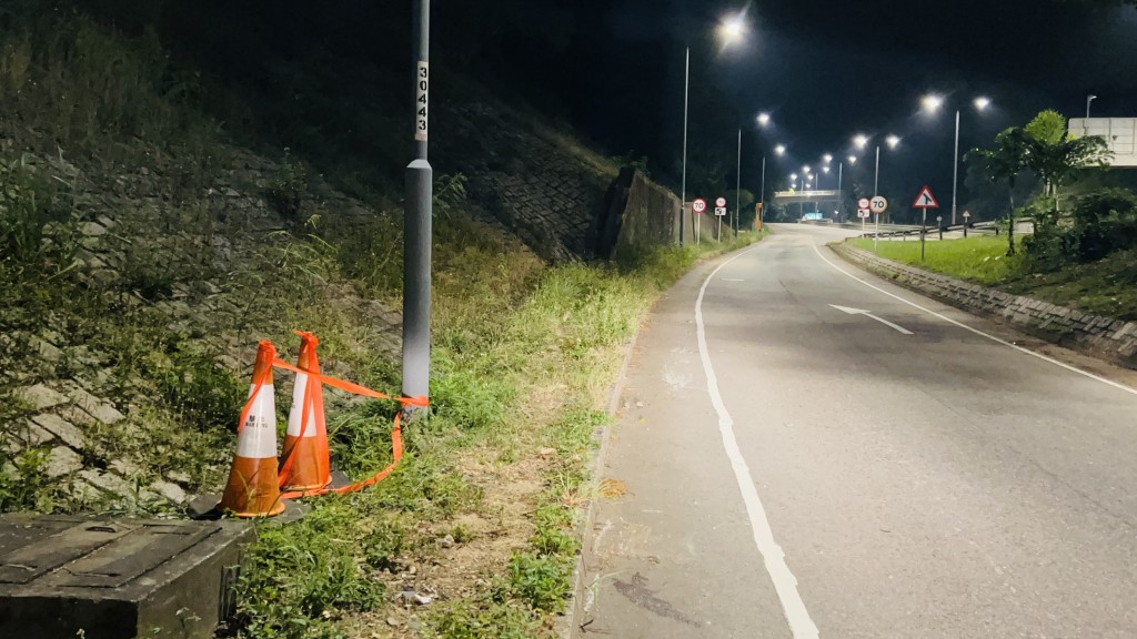 東喜道有兩野豬被私家車撞,一死一傷。