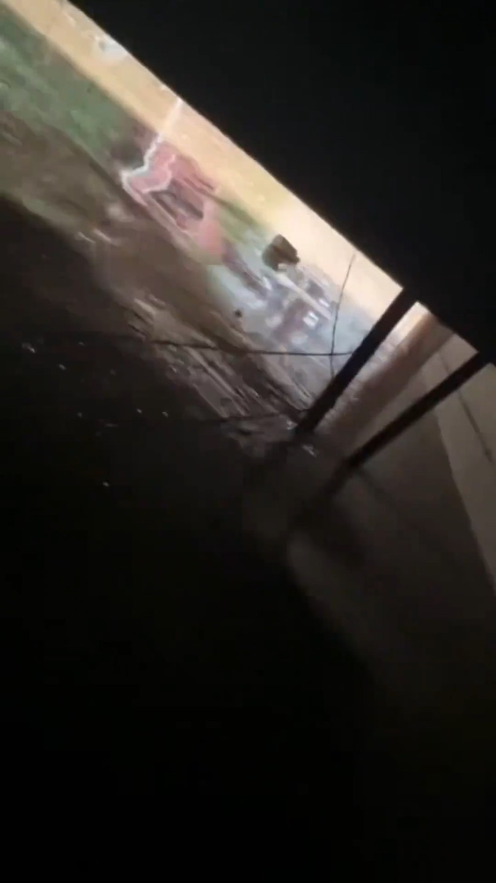 趙湯圓待水平靜才游離險境。抖音@尤尤 趙湯圓待水平靜才游離險境。抖音@尤尤