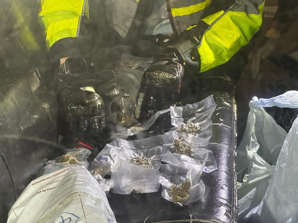 警方在車內發現大量大麻花。曾志恒攝 警方在車內發現大量大麻花。曾志恒攝
