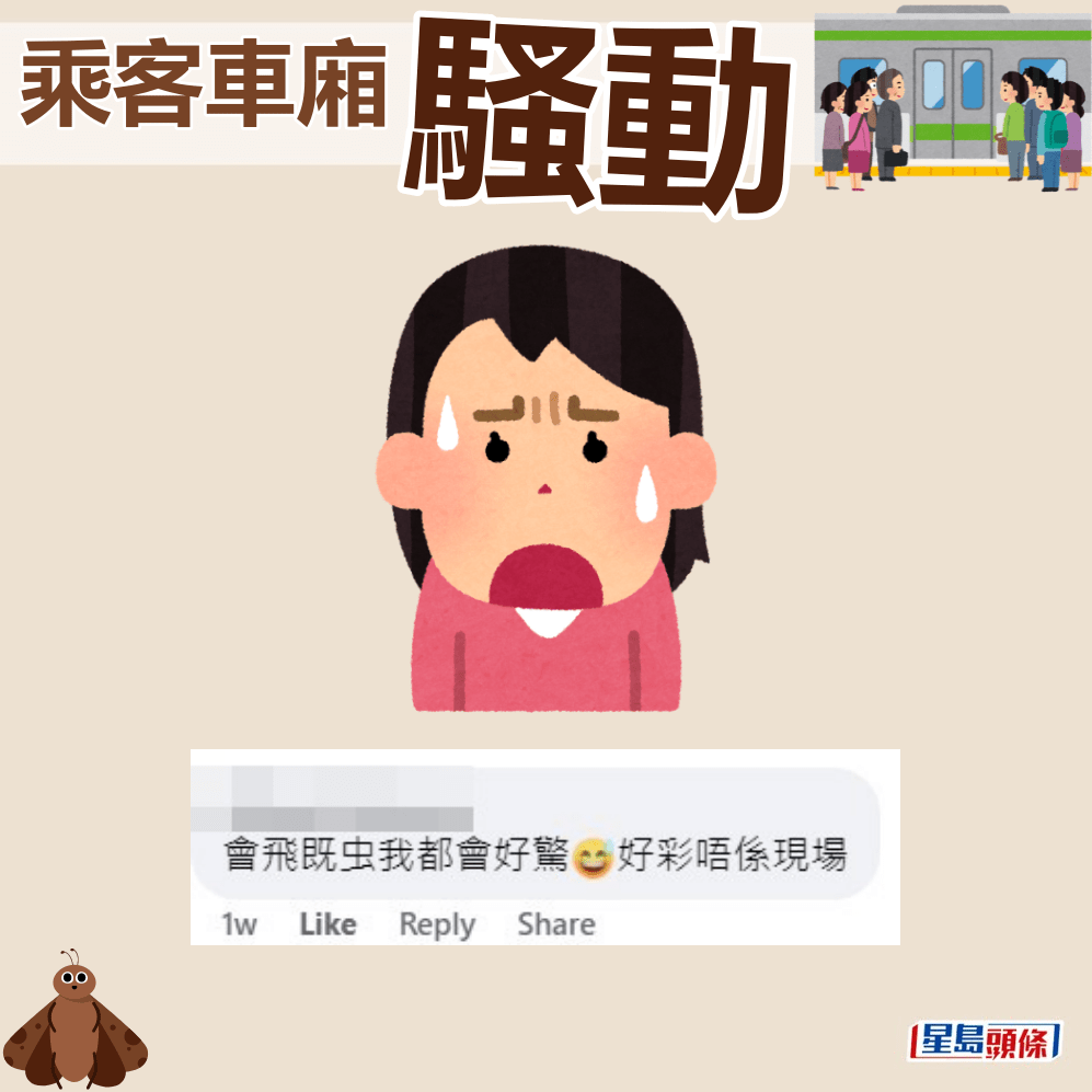 网民：会飞嘅虫我都会好惊，好彩唔喺现场。fb「车cam L（香港群组）」截图