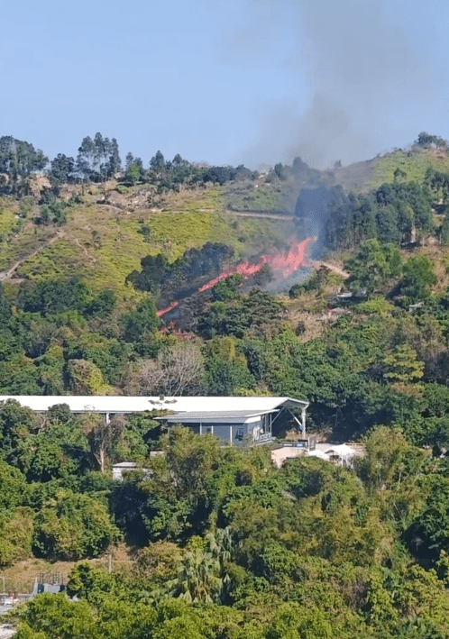 天水圍蝦尾新村對開山頭發生山火。網上片段截圖
