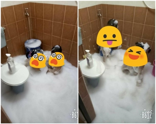 整間浴室都瀰漫著「白雪雪」的泡沫。網圖