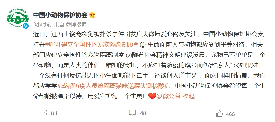 中國小學動物保護協會倡議建立全國性的寵物隔離制度。互聯網圖片