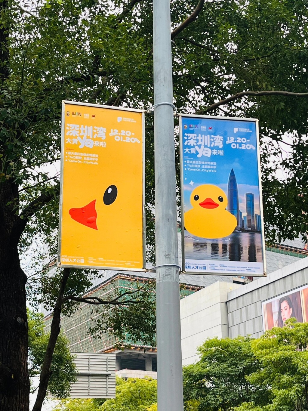 深圳湾街头已有不同宣传。