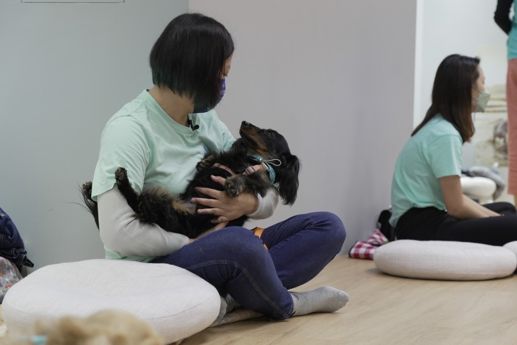 正在訓練的P牌治療學犬Ruby，用牠被遺棄的經歷，成功打開服務對象的心扉。