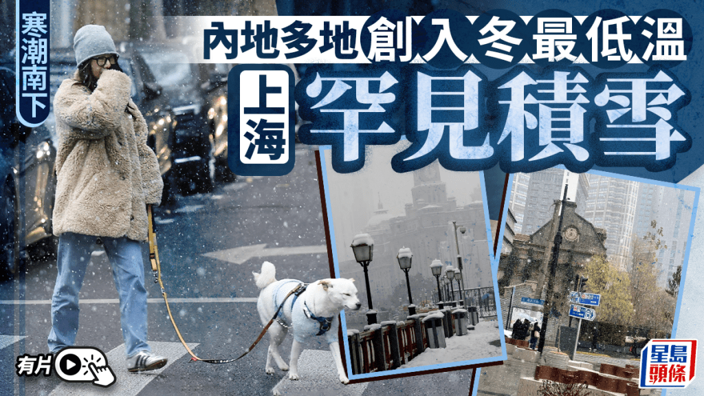 市民在上海市徐匯區冒雪遛狗。 