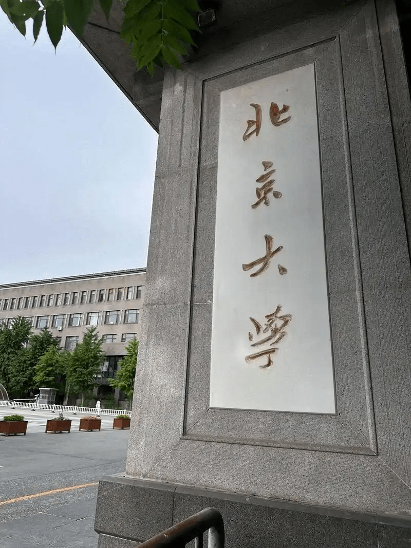 北大數學院回應稱,校方非常關心其健康,將幫助他積極治療,同時希望保護好學者專心治學的寧靜環境。 北大數學院回應稱,校方非常關心其健康,將幫助他積極治療,同時希望保護好學者專心治學的寧靜環境。