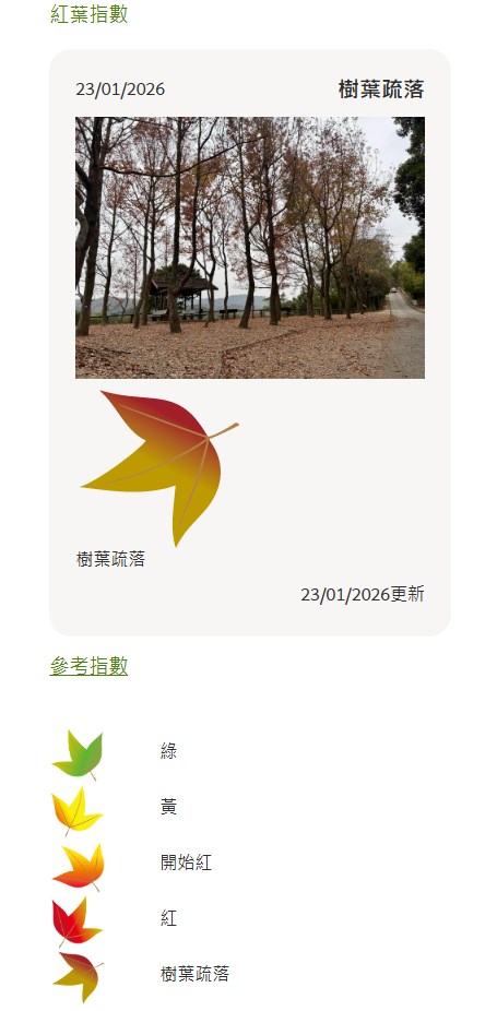 漁護署「大欖郊野公園楓香林紅葉情報」截圖