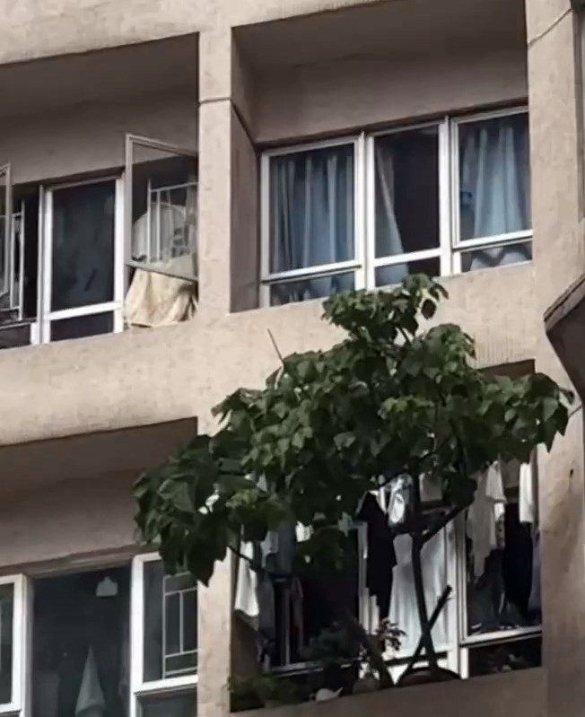 樓主： •陣間過去反映下，btw（by the way，順帶 提一下）。有疑似屋主同我講會放返屋企， 屋主快啲搞搞佢，放工fact check（查證）。Threads截圖