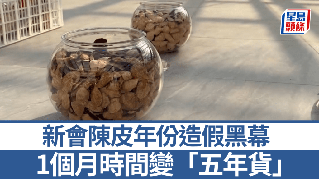 報道指，8成所謂廣東新會陳皮實為「廣西陳皮」。央視截圖