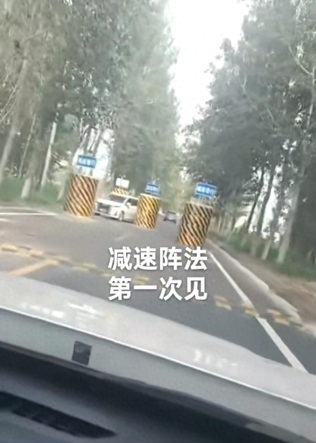 河北葛漁城鎮有公路出現巨型的「梅花樁」減速裝置，惹來關注。網圖