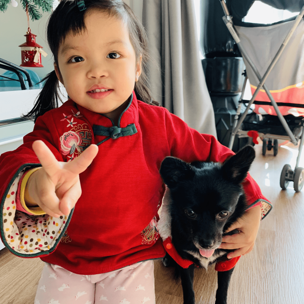 Samantha說愛犬奶茶(右)自蛋撻幾個月大時,已經喜歡舔和摸她,蛋撻從中感受到愛,所以不會害怕奶茶。 Samantha說愛犬奶茶(右)自蛋撻幾個月大時,已經喜歡舔和摸她,蛋撻從中感受到愛,所以不會害怕奶茶。