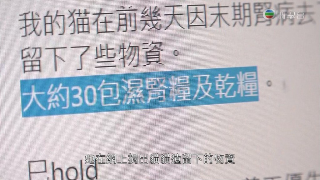 一名女子自稱貓義工以假帳戶在網上呃物資。(電視截圖)