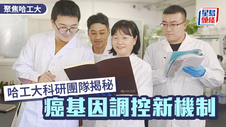 哈爾濱工業大學生命科學和醫學學部胡穎教授（右二）與學生們。