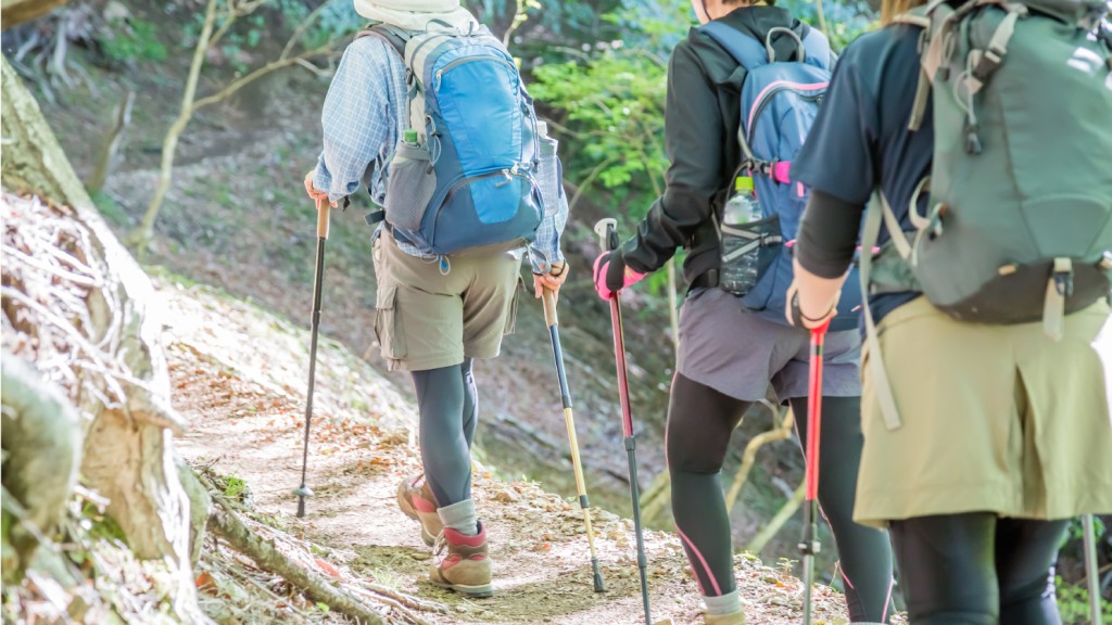 行山是熱門戶外活動，有助增加肌肉彈性、強化骨骼和關節，增強心肺功能。