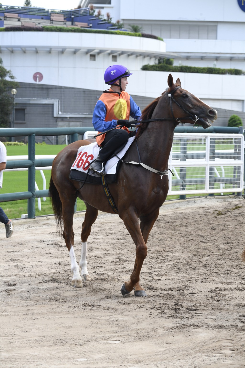 「樂天派」狀態仍勇，今仗由潘頓壓陣，可望贏馬而回。