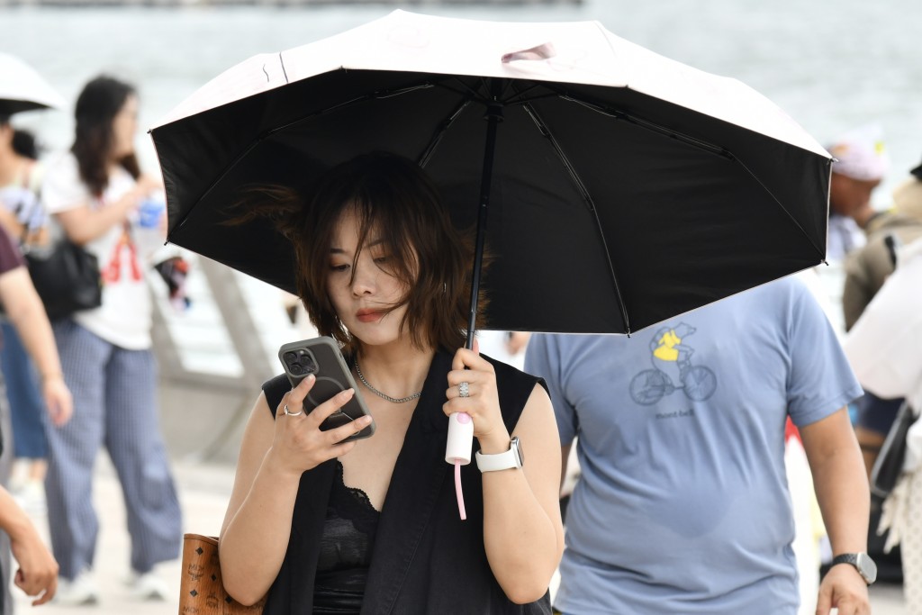 盧江球攝 盧江球攝