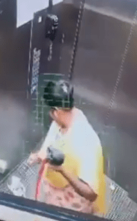 狗褓姆突然將Goosi摔死。X@ChalavadiVinod 狗褓姆突然將Goosi摔死。X@ChalavadiVinod