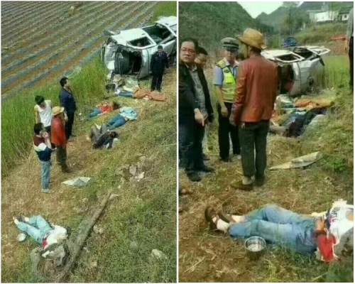 客貨車衝出公路,直墮20米深的麥田內,造成多人死傷。網圖