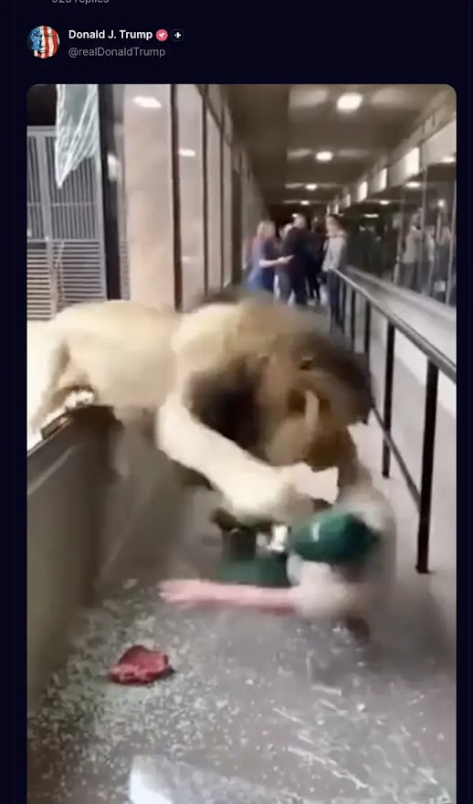特朗普更分享一段內容關於獅子襲擊飼養員和遊客的AI生成影片,被網民指責他嘔心! 特朗普更分享一段內容關於獅子襲擊飼養員和遊客的AI生成影片,被網民指責他嘔心!