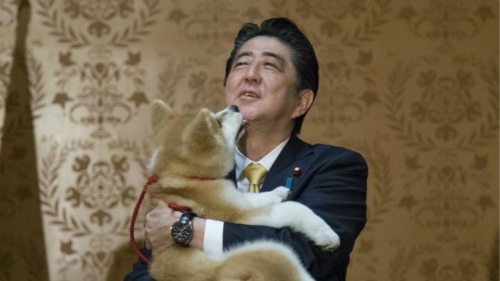 安倍2018年與夫人出席向薩姬杜娃送贈秋田犬的典禮，即場抱起狗狗。AP圖片