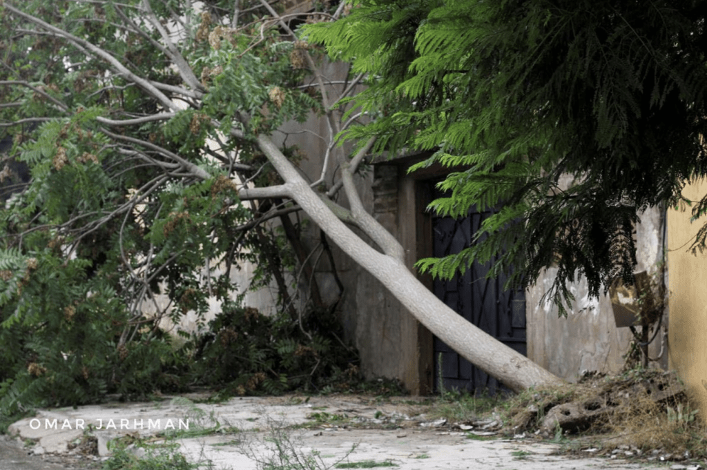 2023 年 9 月 11 日，利比亞沙哈特市遭遇強風暴和強降雨淹沒，水退後見到一根倒下的樹枝。路透社