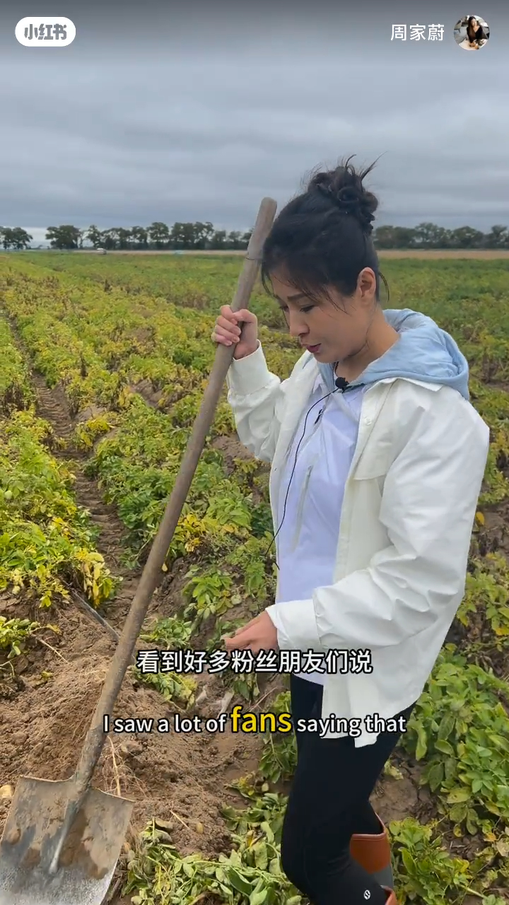 周家蔚落田掘薯仔，网民有赞有弹，有人赞她贴地，亦有人指拍网红片有失影帝新抱身份，鼓励她复出拍戏。