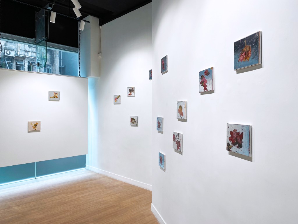 整個「木棉花系列」，不是單數，而是眾數。