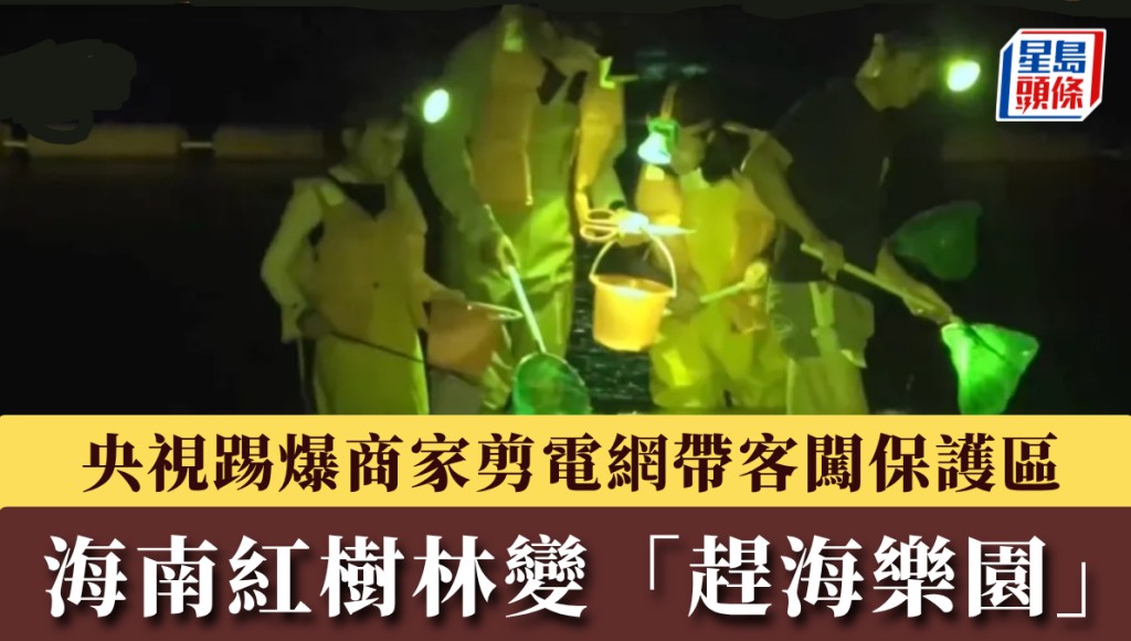 海南紅樹林變「趕海樂園」，央視踢爆商家剪電網帶客闖保護區。