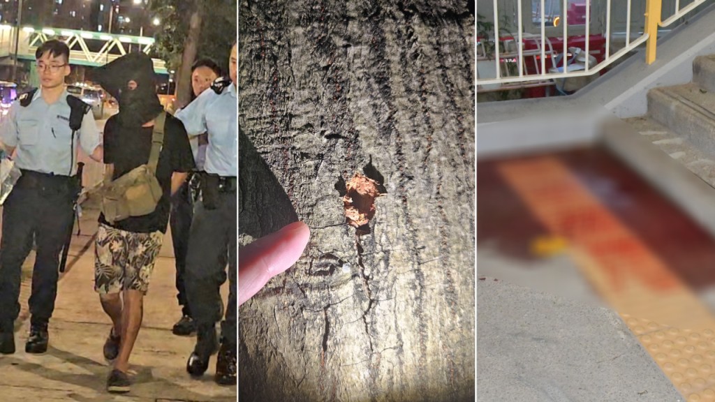 屯門持刀男出沒|受傷路人報稱受驚跌倒 持刀男被控「管有攻擊性武器」周二提堂