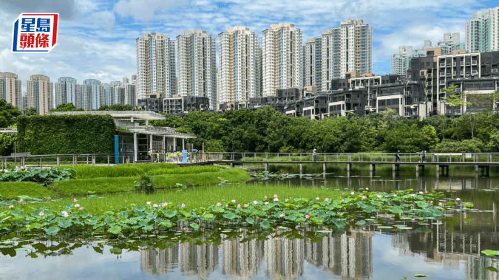 特區政府響應國家將8月15日為全國生態日，濕地公園當天免費開放。資料圖片