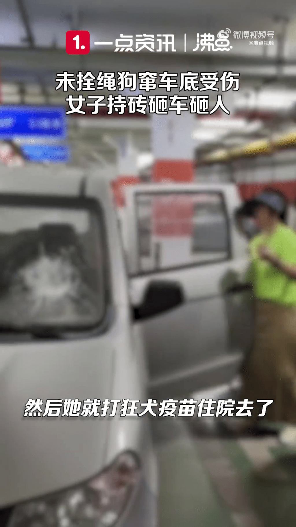 女狗主打開車門將車窗打碎。