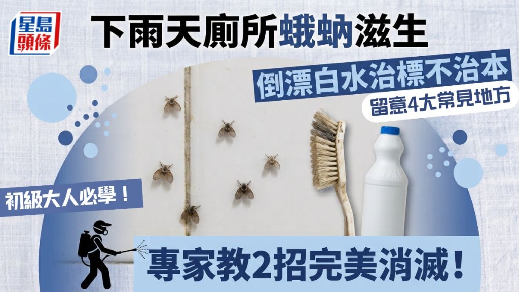初級大人必學！下雨天廁所蛾蚋滋生 倒漂白水治標不治本 專家教2招完美消滅！