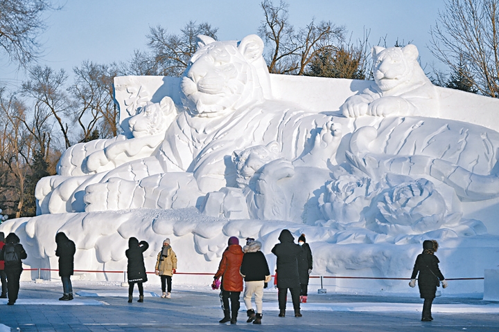 來到第三十四屆哈爾濱太陽島雪雕藝術博覽會會場，可看到應景的虎年雪雕。（新華社資料圖片）