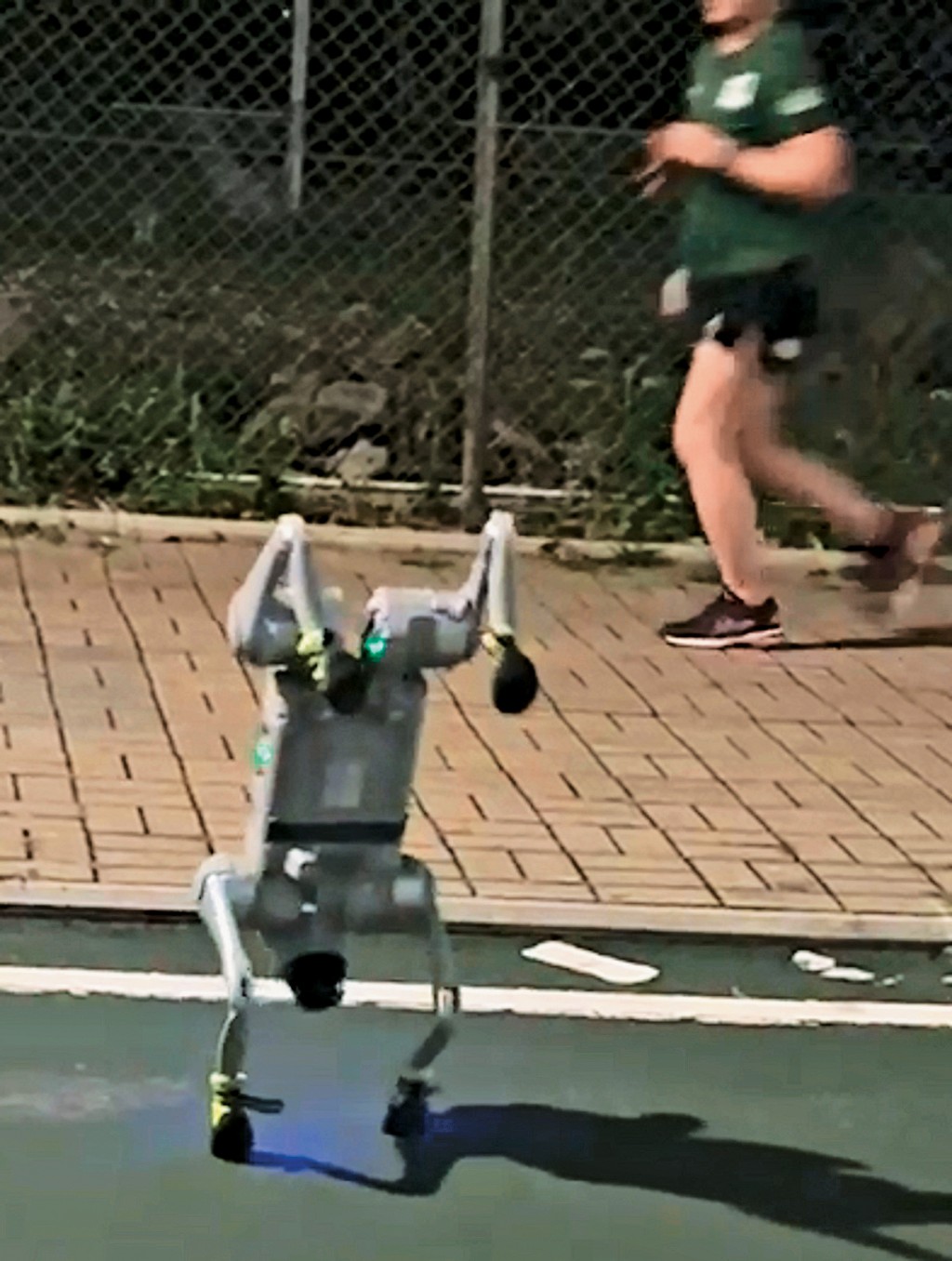 機械人和機械狗目前在港沒有專門法例規管，但「飼養」機械狗已逐漸成為潮流，《星島》記者日前便在將軍澳街頭目擊有男子帶同機械狗「放狗」散步。