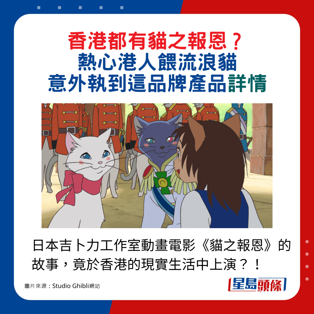 日本吉卜力工作室动画电影《猫之报恩》的故事，竟于香港的现实生活中上演？！