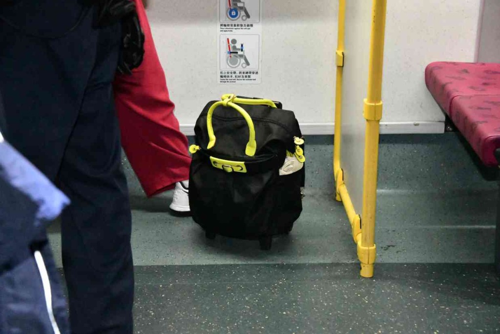 南亞裔女乘客攜帶一件行李。