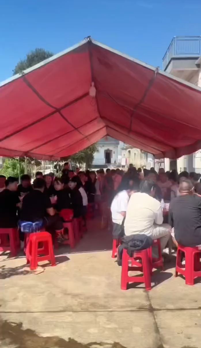 各地网友前来祝贺“戴戴”及其新娘子。