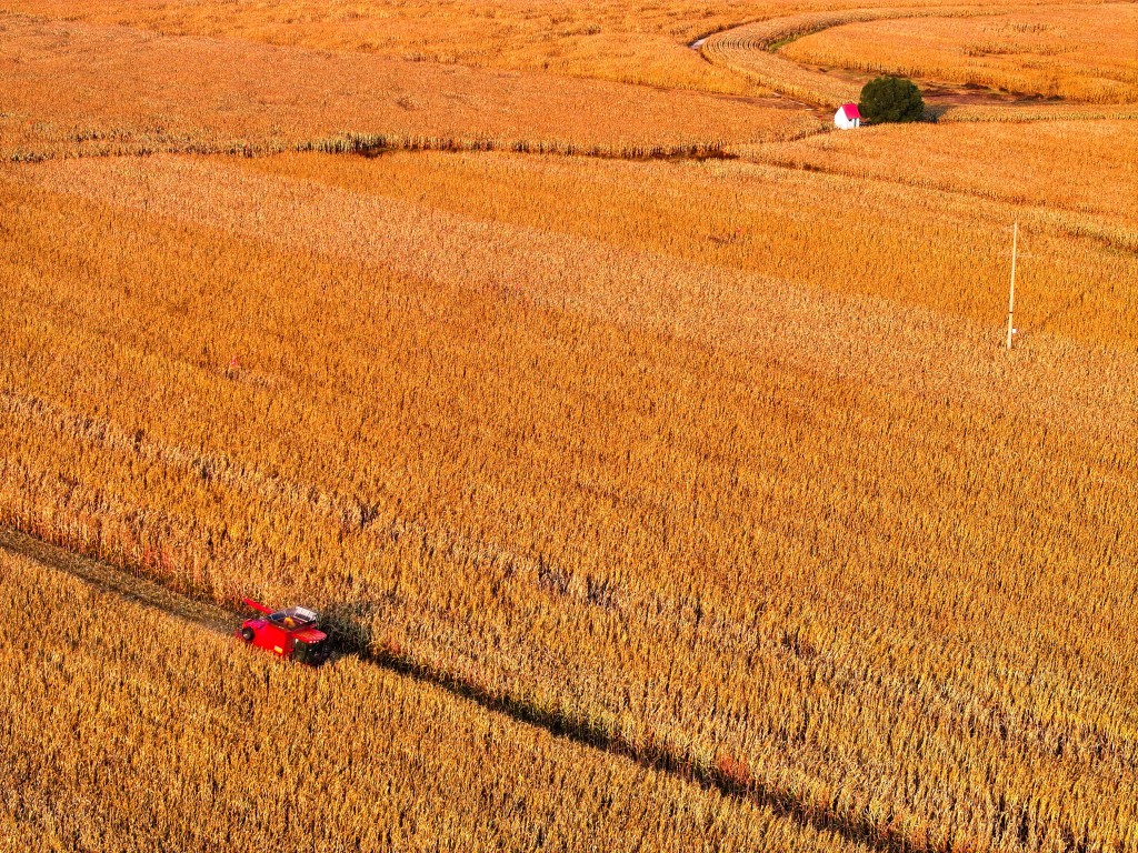 今年中国GDP增速目标定在4.5%至5%。新华社