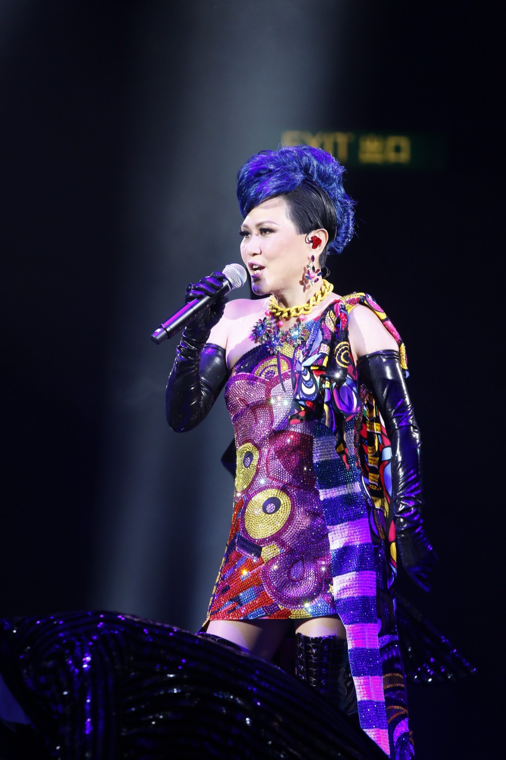陈洁灵2015年在「顾嘉辉荣休盛典演唱会」表演。
