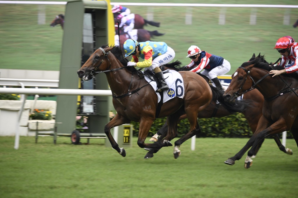 「佳運發」上場在楊明綸胯下贏馬，乃其在港從騎的第三百場頭馬。