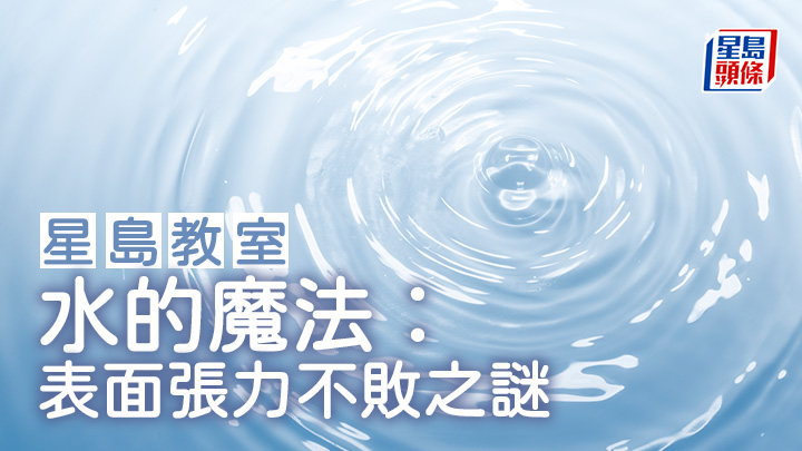 水的魔法︰表面張力不敗之謎|星島教室