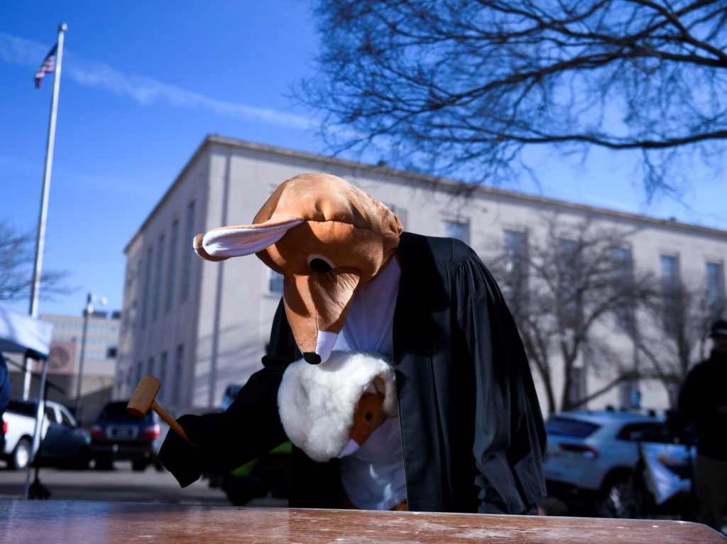 有人扮成袋鼠布偶到法院外抗議，諷刺今次墮胎藥的裁決是「袋鼠審判」（讓人認為不公平的法庭審判）。 路透社