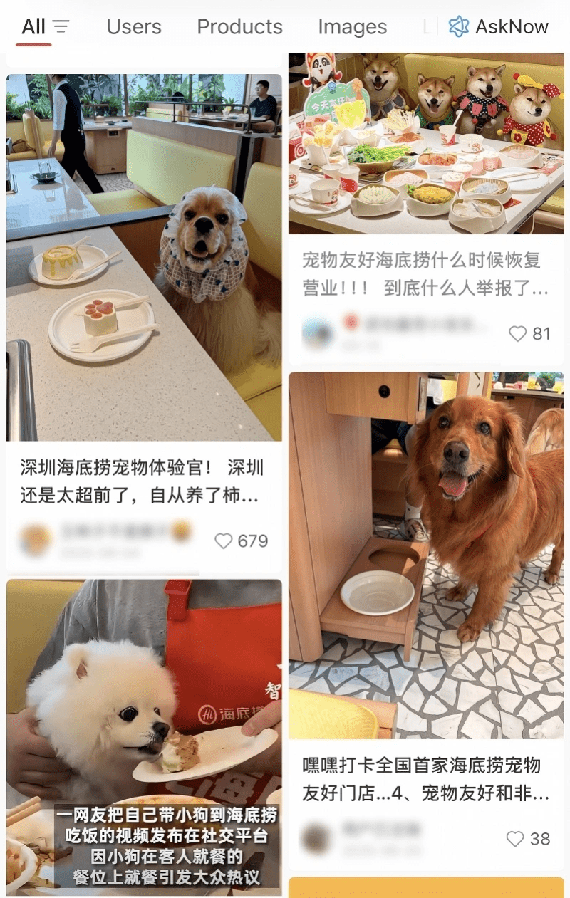 在社交平台上,海底撈的寵物友好餐廳確實引發了一些討論。 在社交平台上,海底撈的寵物友好餐廳確實引發了一些討論。