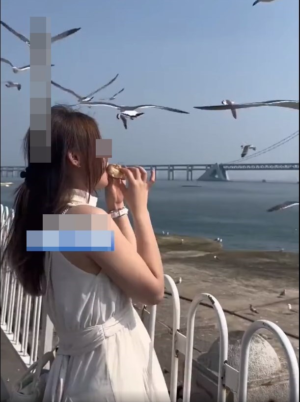 網上流傳一段露膊女叼麵包餵海鷗，「濕吻」過後卻被意外啄傷的短片。網上截圖