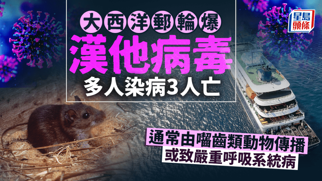 大西洋郵輪爆漢他病毒感染 3死1危殆 世衞介入調查