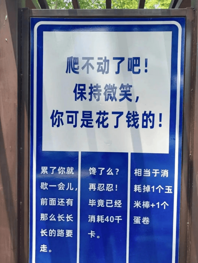 遊客爬山遇另類加油牌。紅星新聞